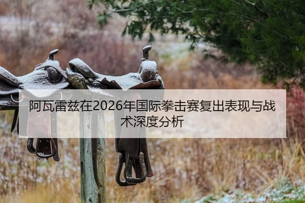 阿瓦雷兹在2026年国际拳击赛复出表现与战术深度分析