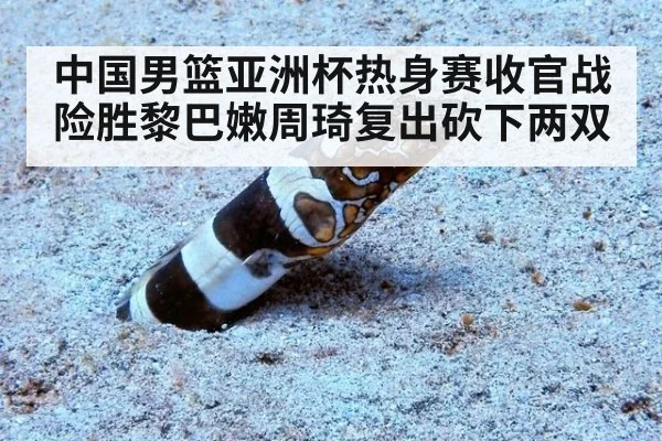 中国男篮亚洲杯热身赛收官战险胜黎巴嫩周琦复出砍下两双